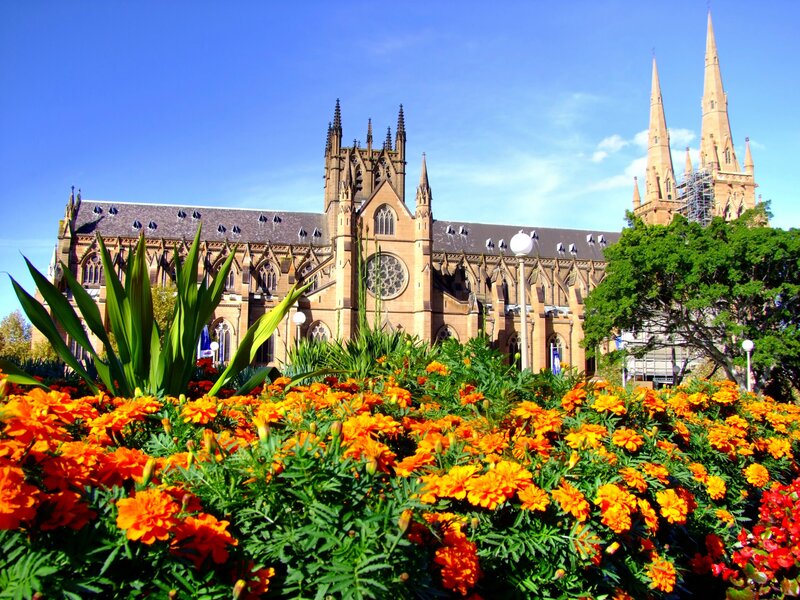 Cathedral with Flowers