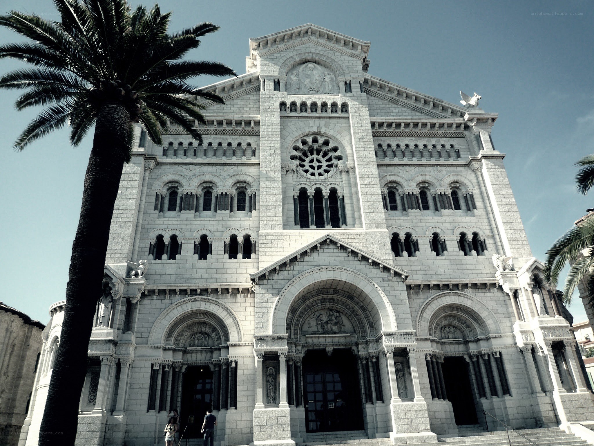 Cathedral with palm tree