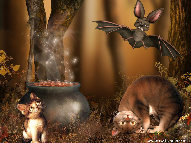 Cats and a Bat in Forest