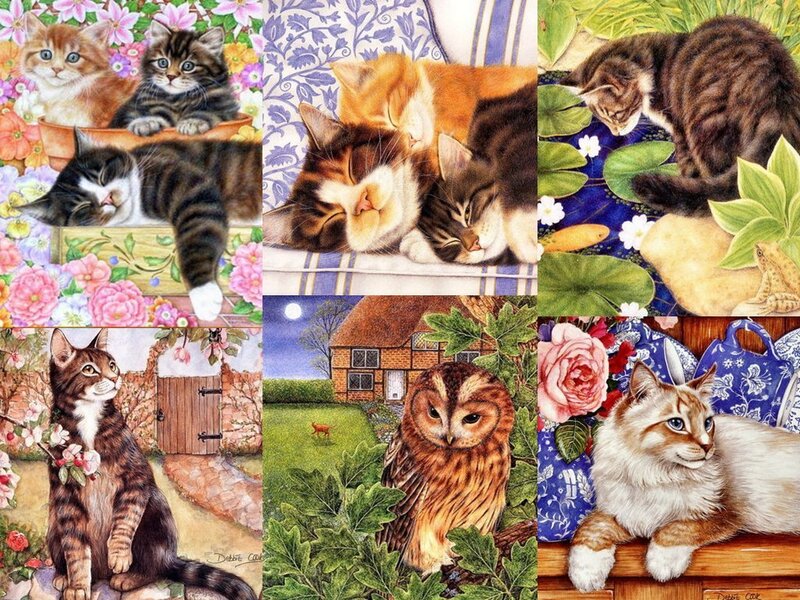 Cats and an Owl