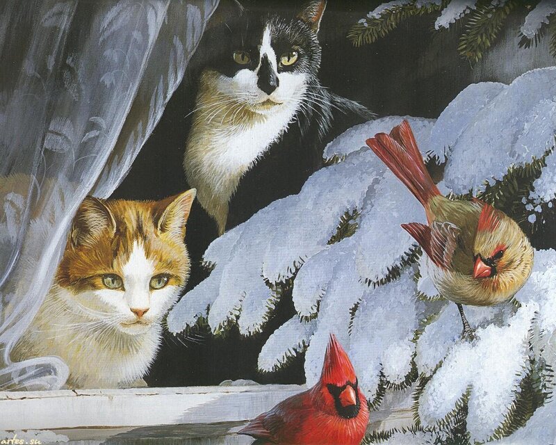 Cats and Cardinals in Snow