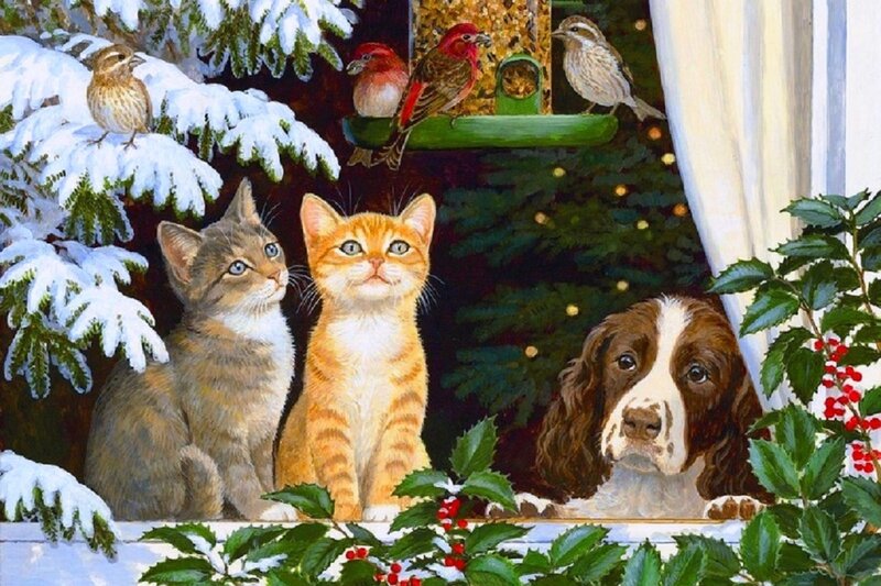 Cats and Dog at Window — Green