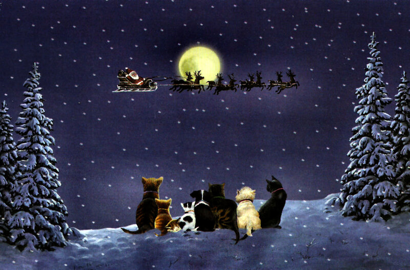 Cats and Dogs Watching Santa — Blue