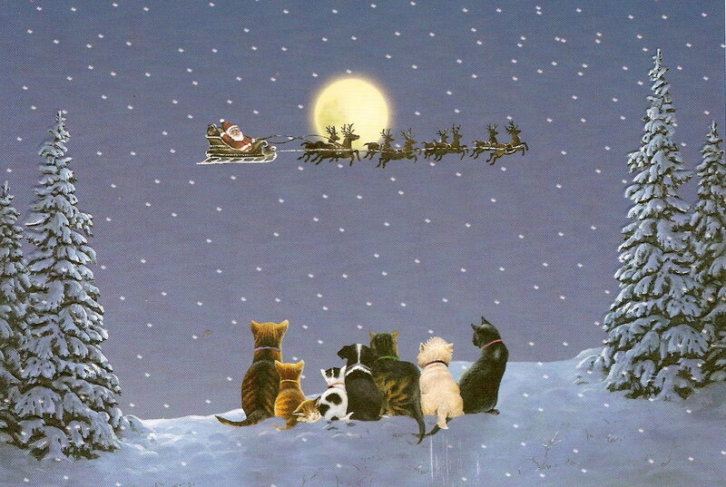 Cats and Dogs Watching Santa