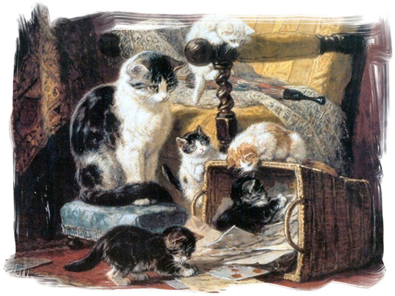 Cats and Kittens in Basket