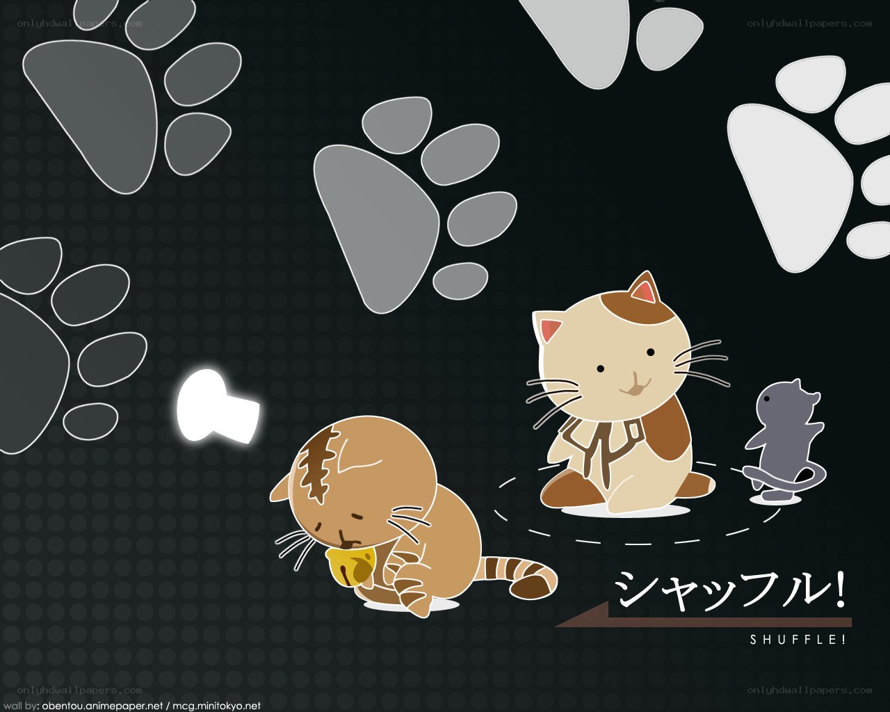 Cats and paw prints wallpaper