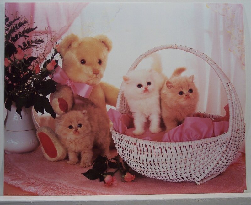 Cats and teddy bear in basket