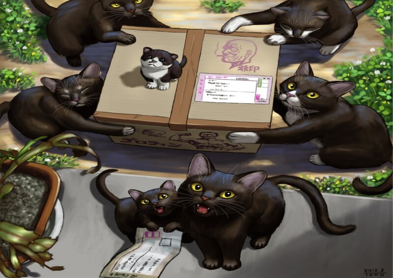 Cats Around a Box