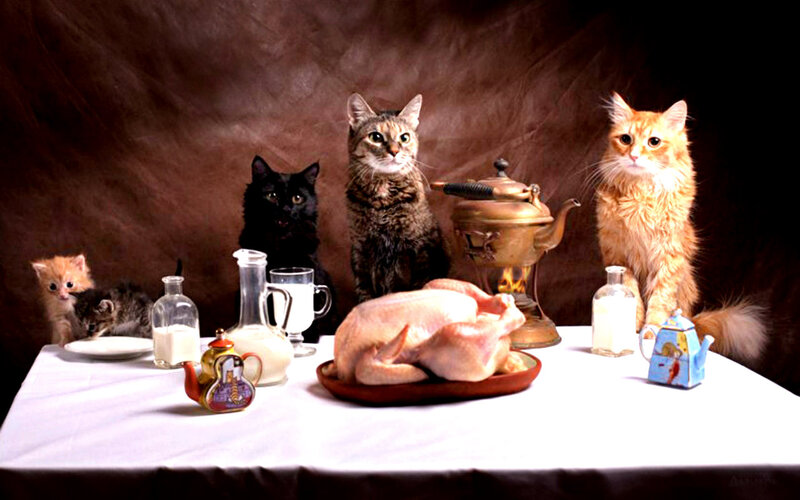 Cats at a Dinner Table