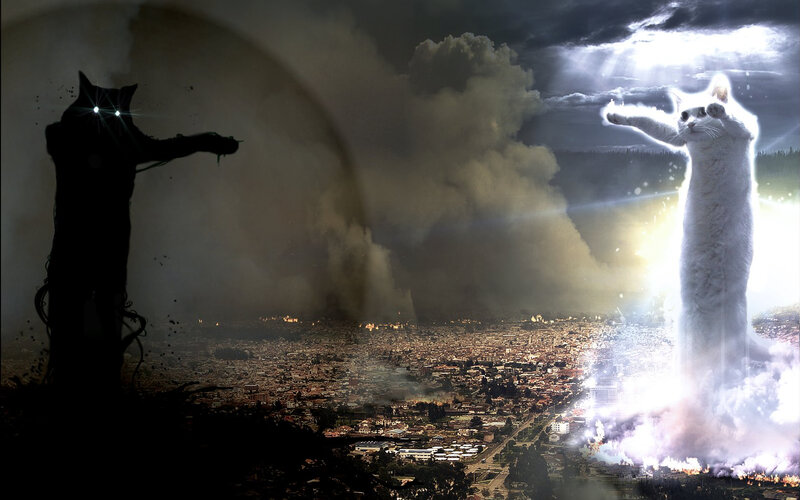 cats battling over a city
