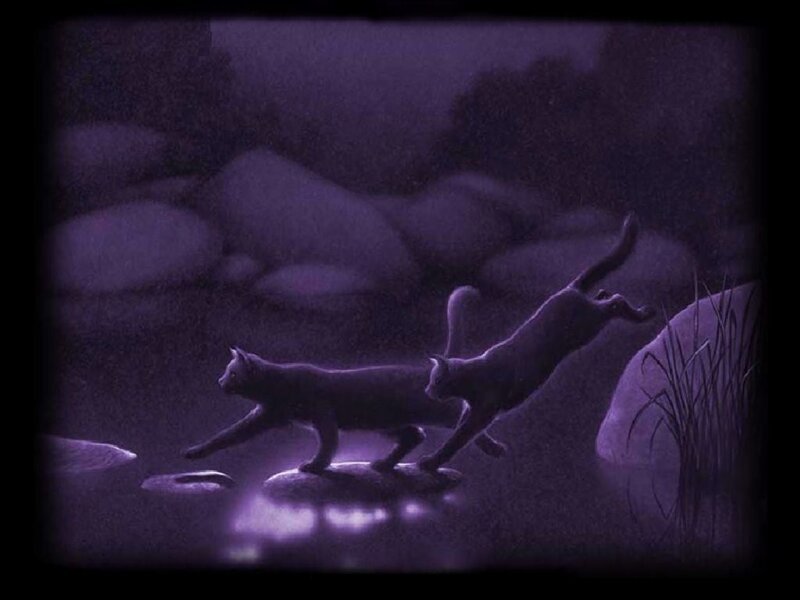 cats by the river at night