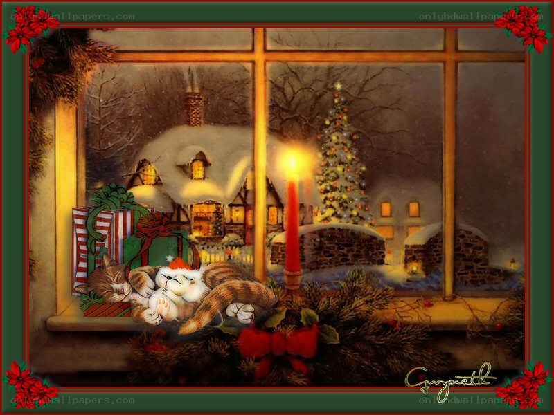 Cats by the window at Christmas