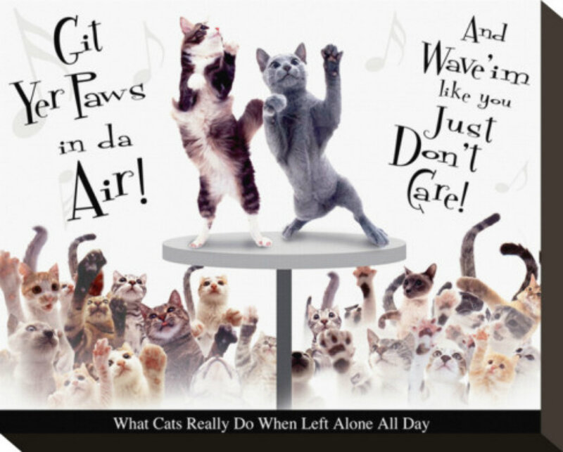 Cats Dancing on Table