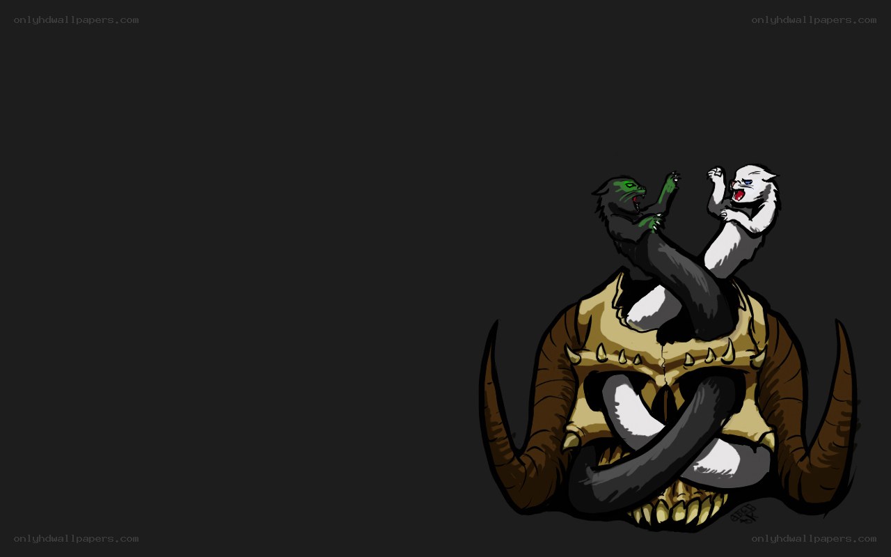 cats fighting on skull