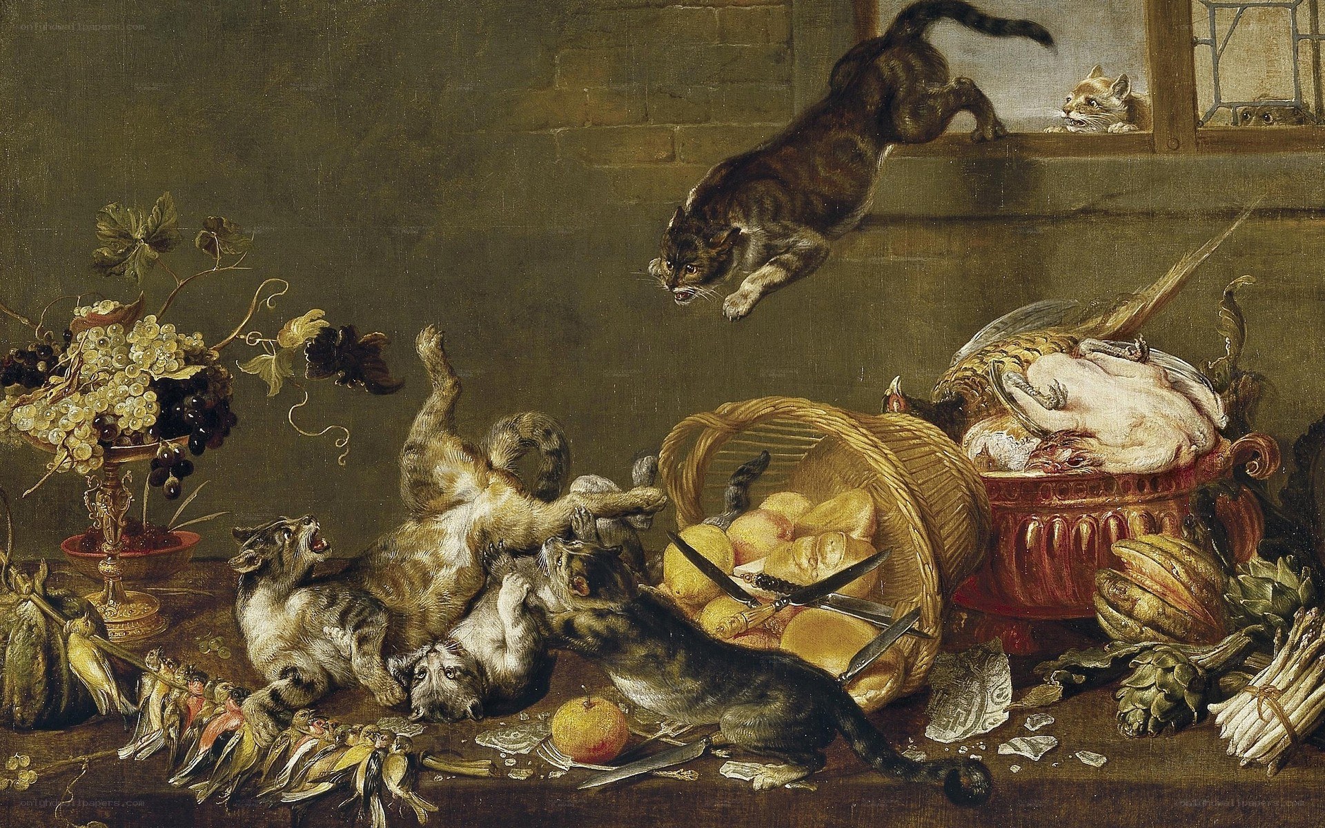 Cats fighting over food
