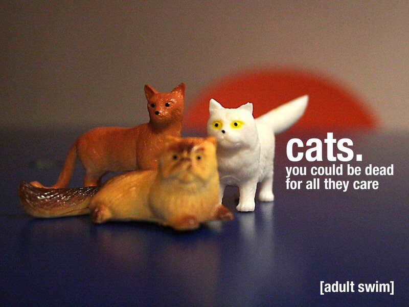 Cats figurines with text