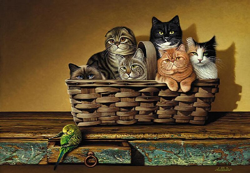 Cats in a basket with bird