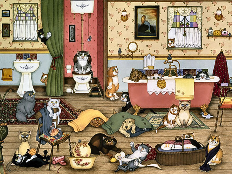 Cats in a Bathroom