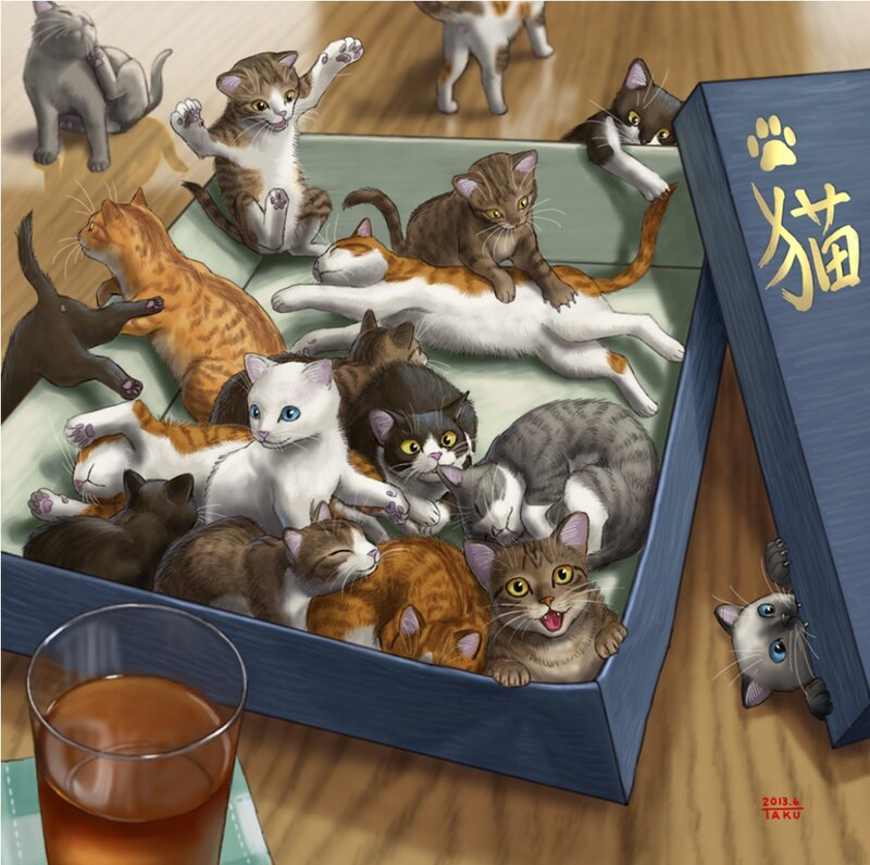 Cats in a Box — Blue
