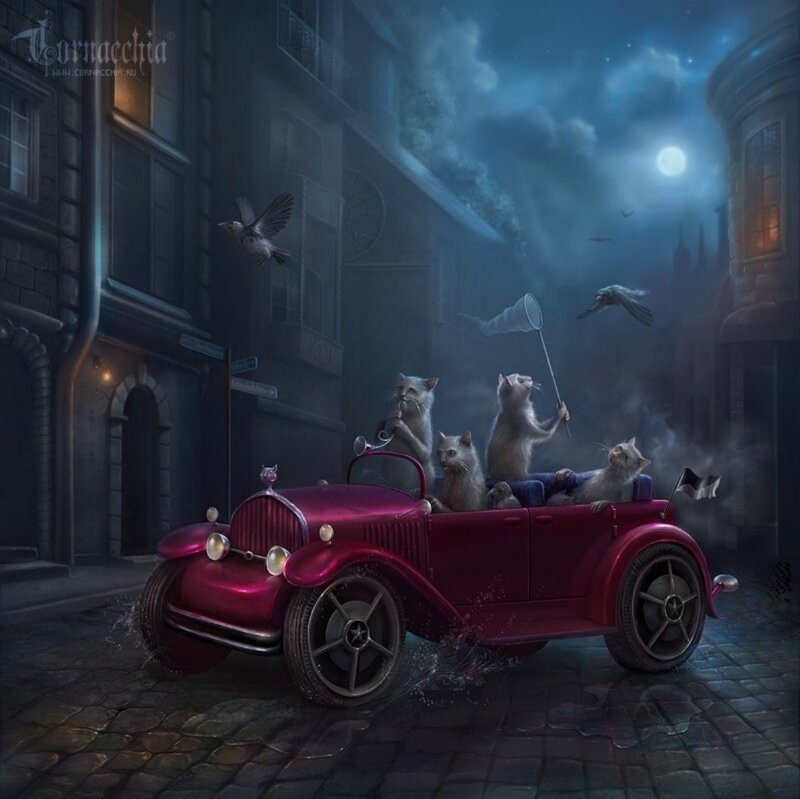 Cats in a Car