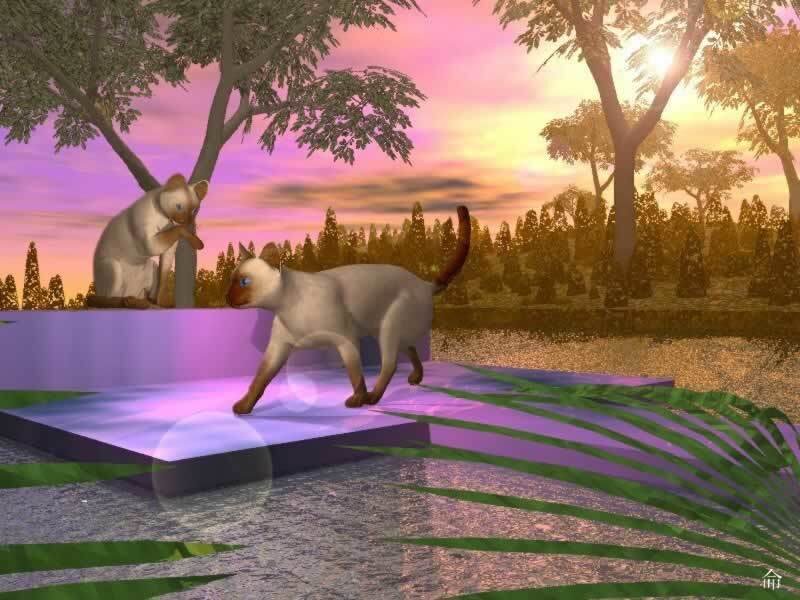 Cats in a digital garden