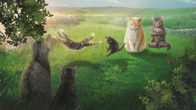 Cats in a Field — Green