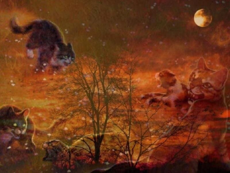 Cats in a fiery landscape
