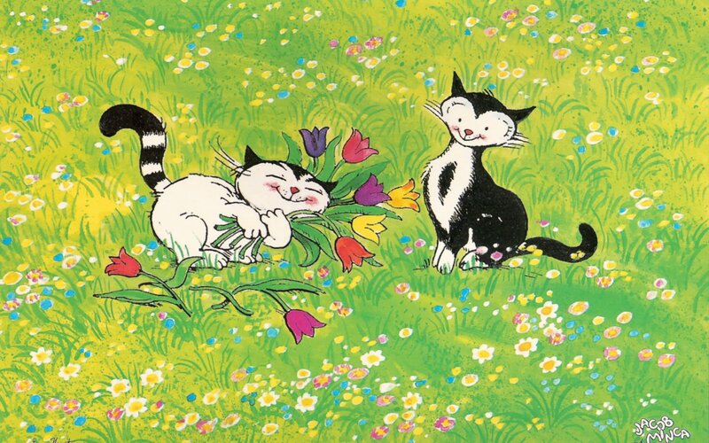 Cats in a flower field