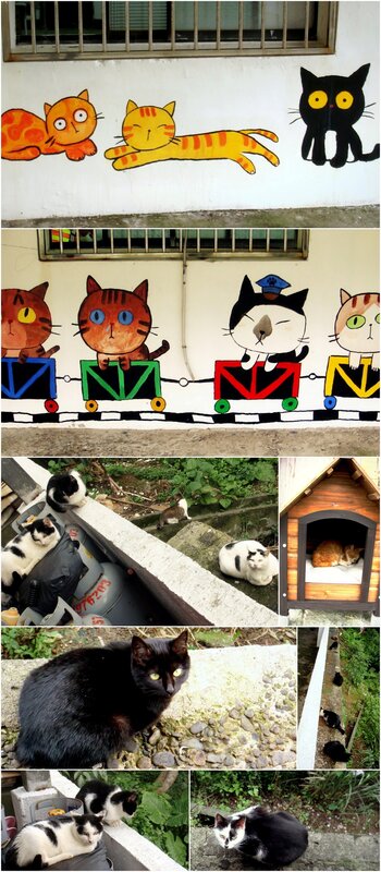 Cats in a mural and real life