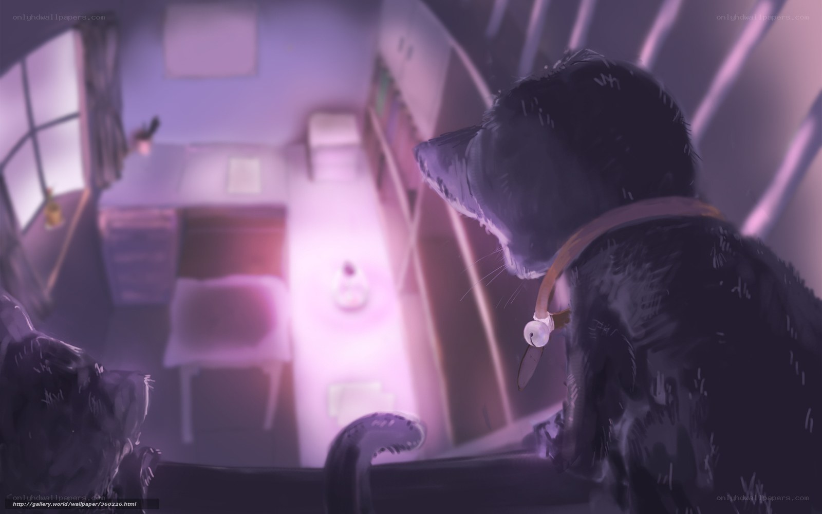 cats in a purple room