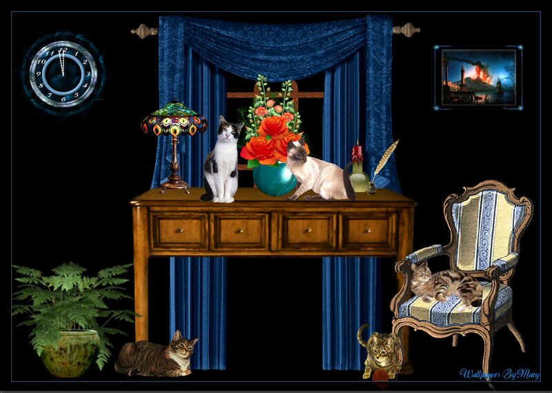 Cats in a Room