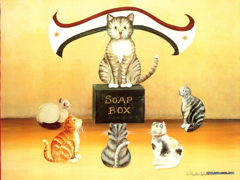 Cats in a Soap Box