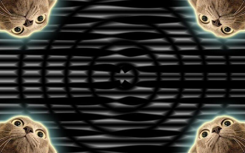 cats in a wavy pattern
