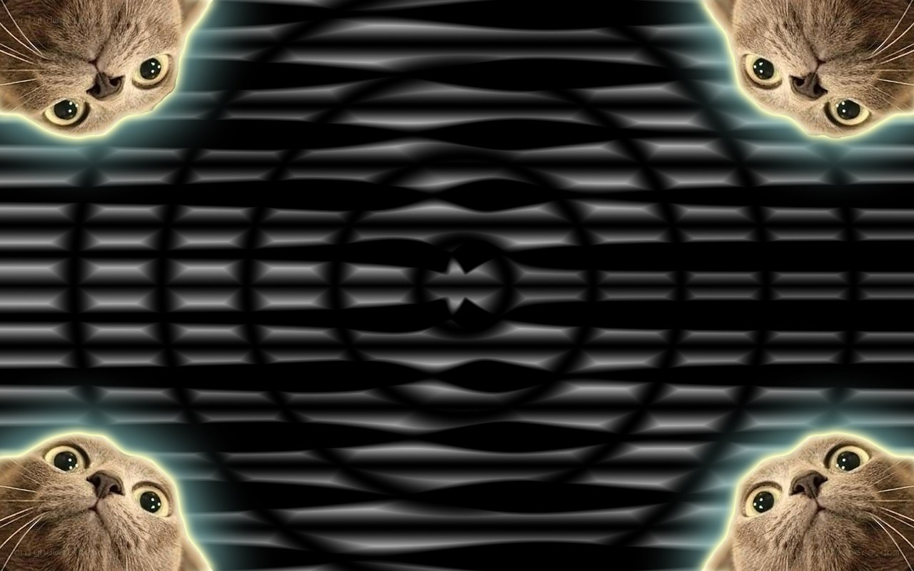 cats in a wavy pattern