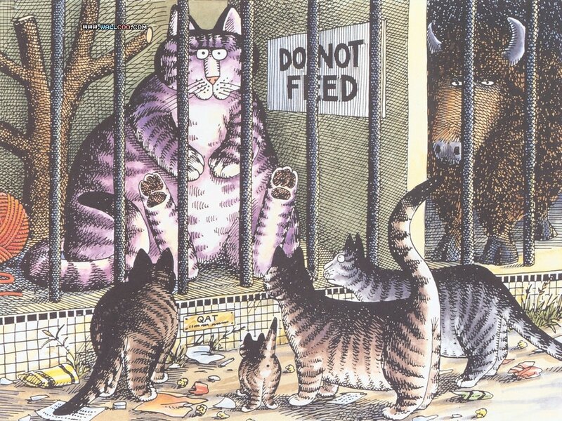 Cats in a zoo enclosure