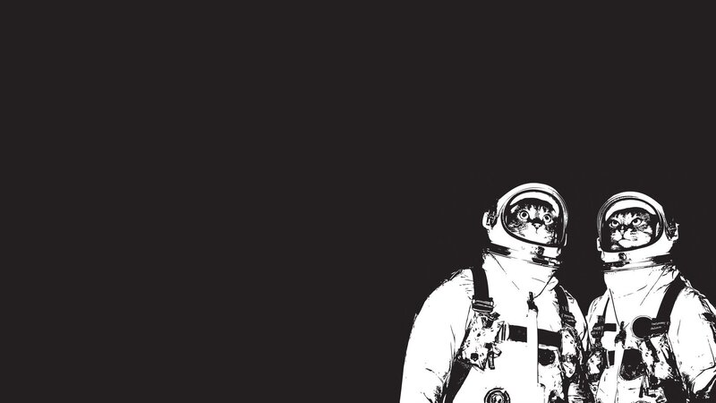 cats in astronaut suits