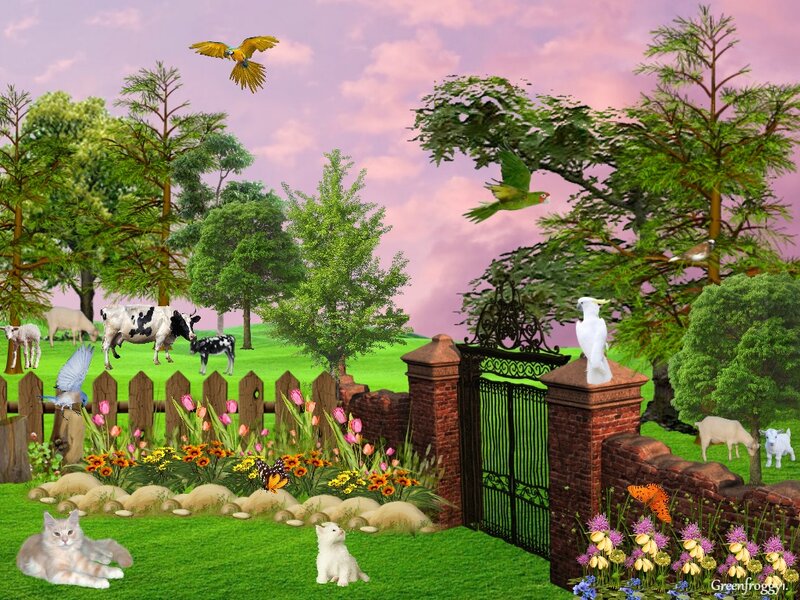 Cats in Garden — Green, Serene, Sunset