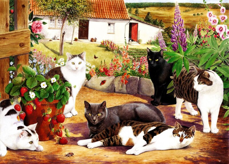 Cats in Garden — Green, Serene