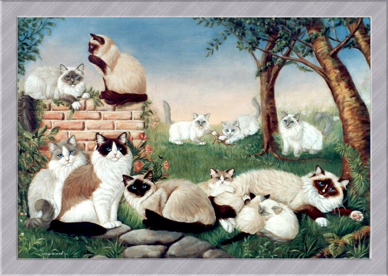 Cats in Garden — White
