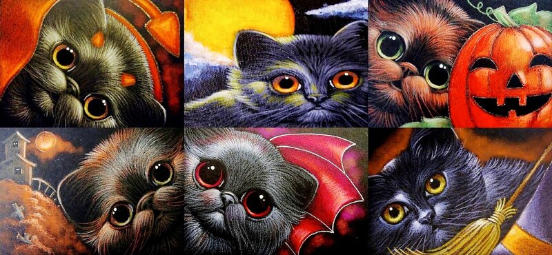 Cats in Halloween Costumes