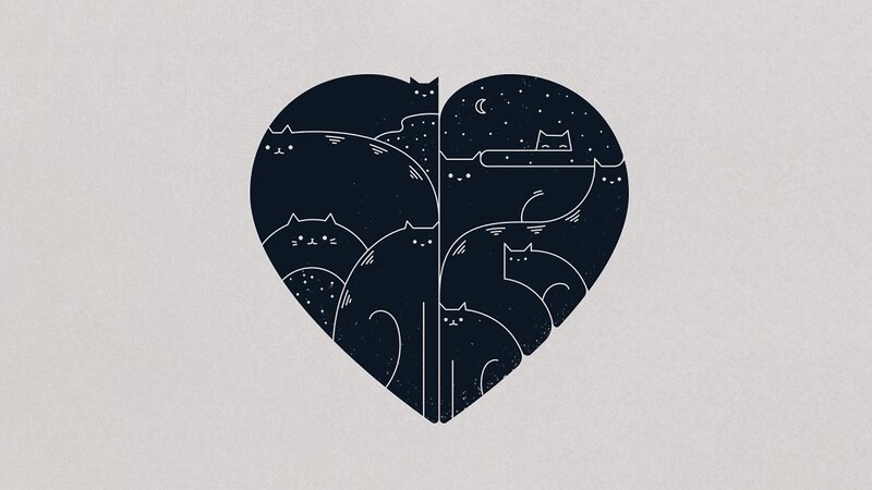 Cats in Heart Shape