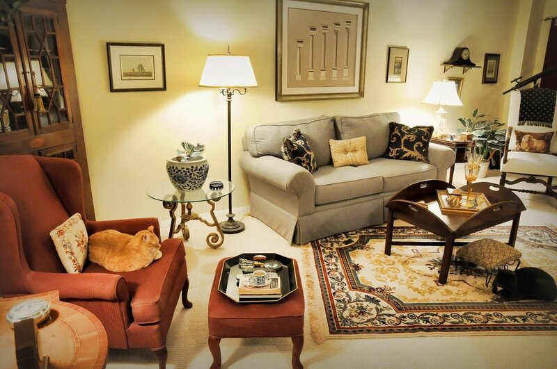Cats in Living Room