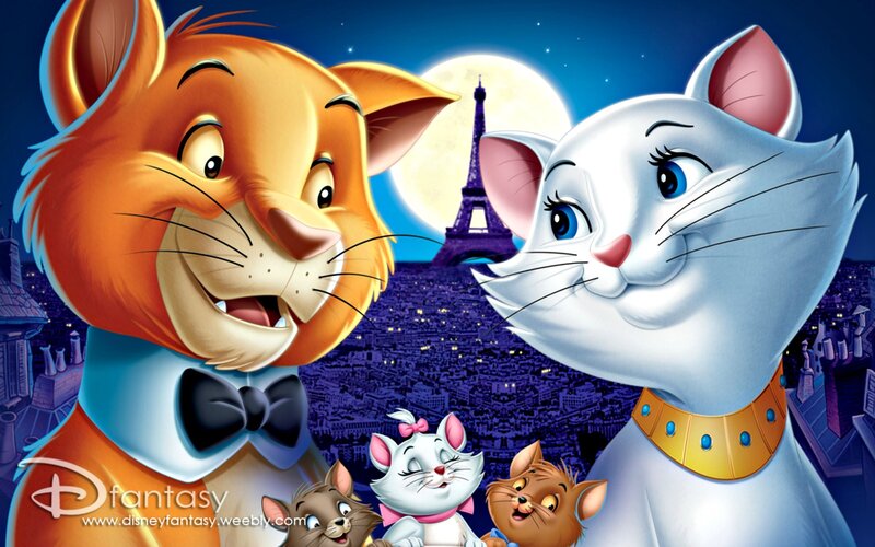 Cats in Paris at Night