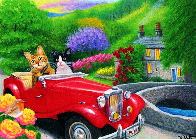 Cats in Red Car