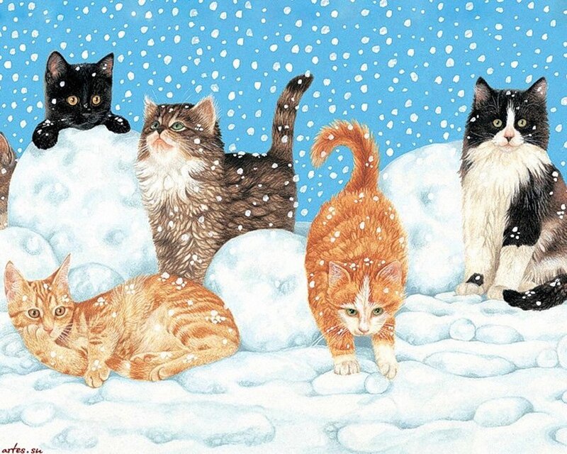 Cats in Snow — Blue