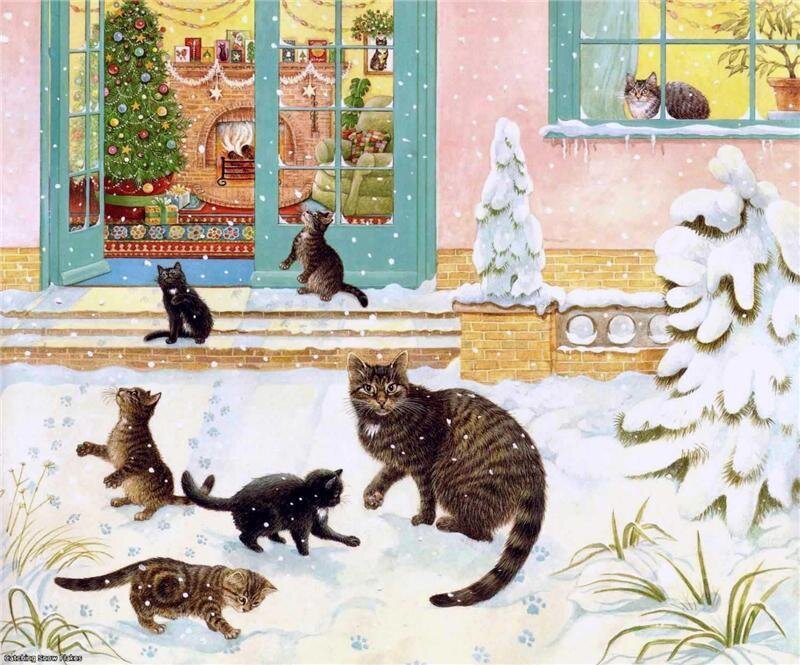 Cats in Snow Outside House