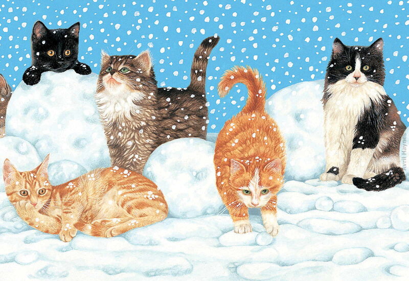 Cats in Snow