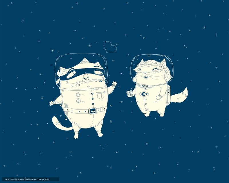Cats in space