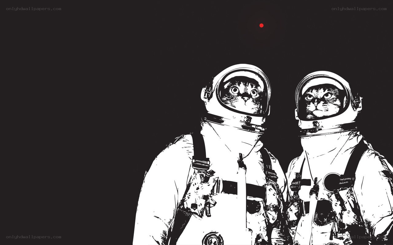 cats in space suits