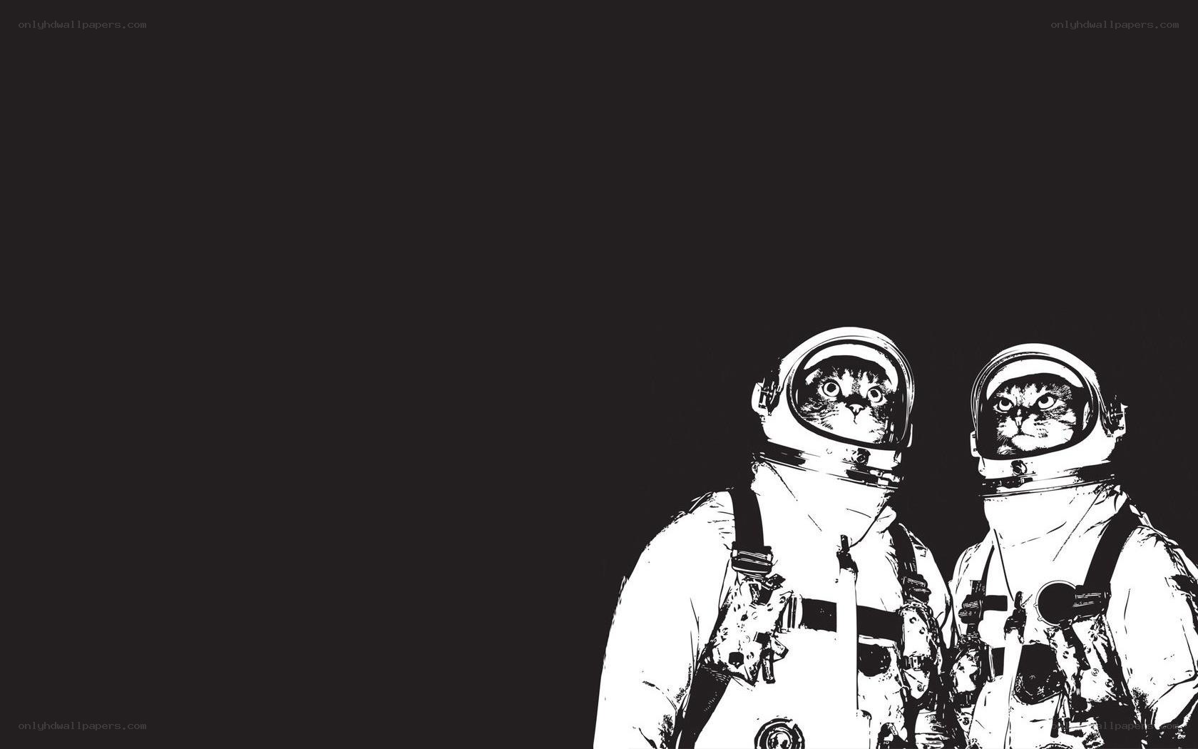 cats in space suits